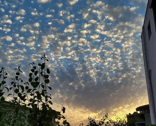 게스트하우스 Harmony Vlorë